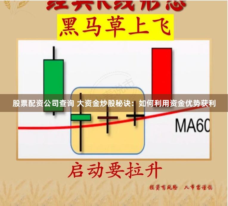 股票配资公司查询 大资金炒股秘诀：如何利用资金优势获利