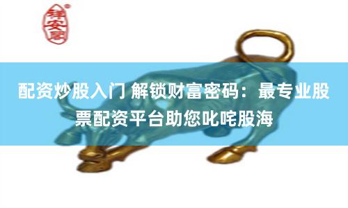 配资炒股入门 解锁财富密码:最专业股票配资平台助您叱咤股海