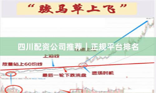 四川配资公司推荐｜正规平台排名