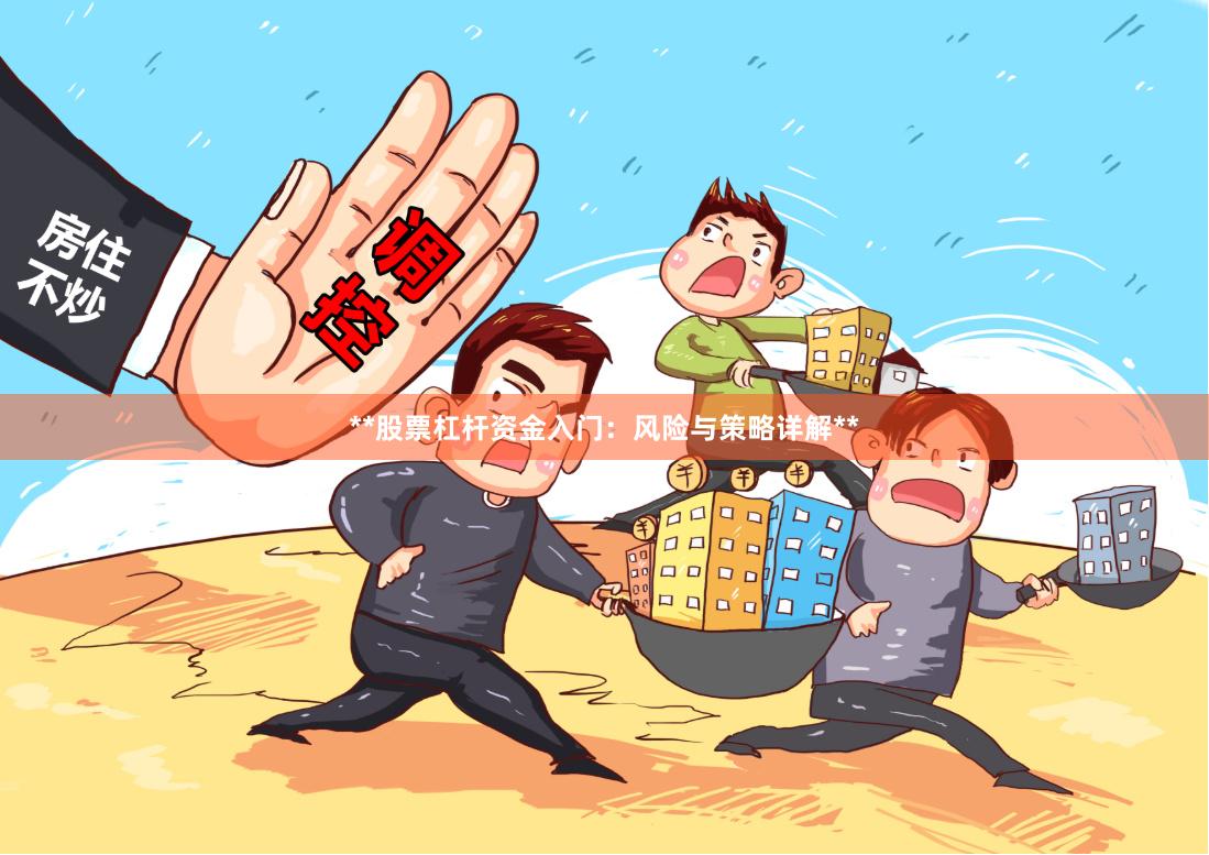 **股票杠杆资金入门：风险与策略详解**