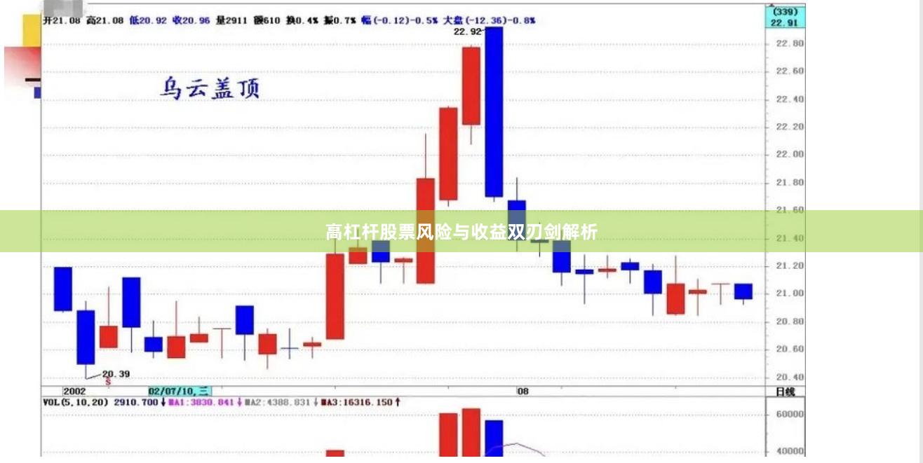 高杠杆股票风险与收益双刃剑解析