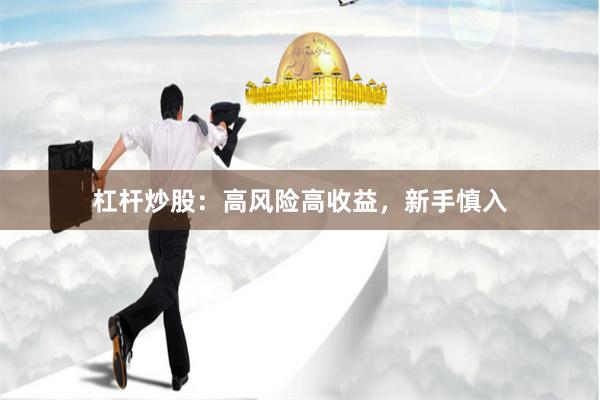 杠杆炒股：高风险高收益，新手慎入